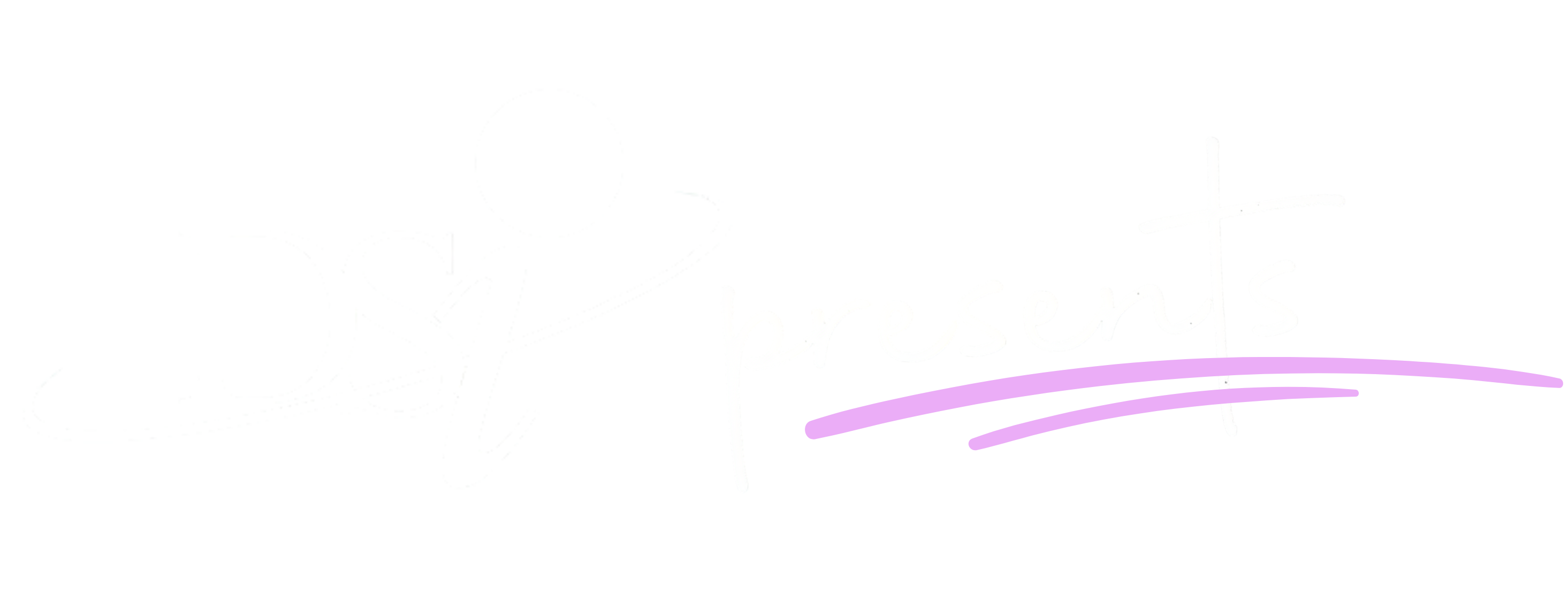 DSI Logo